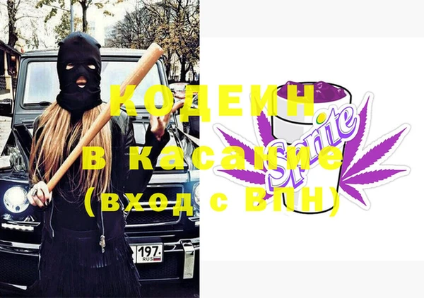 шишки Краснотурьинск