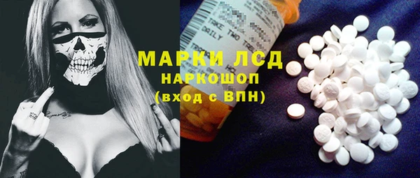 шишки Краснотурьинск