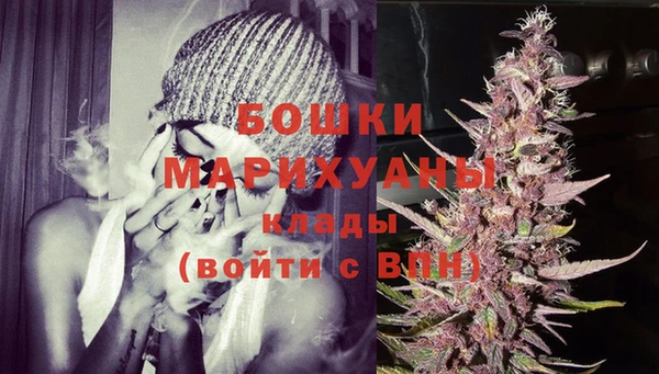 шишки Краснотурьинск