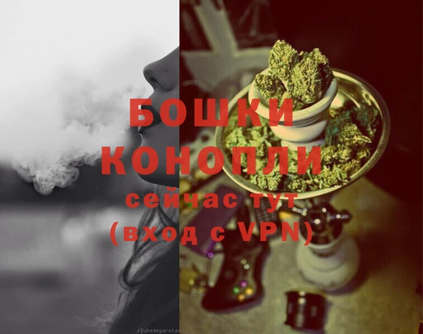 шишки Краснотурьинск