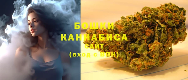 шишки Краснотурьинск