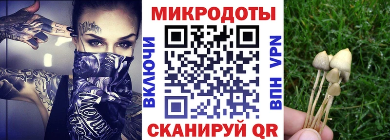Псилоцибиновые грибы Psilocybine cubensis  darknet как зайти  Фатеж  мега зеркало 